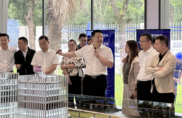 龙湾区政府领导、温州市软件行业协会一行莅临文昌里科创湾考察调研